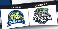 Canaries even Miles Wolff Cup Finals with 5