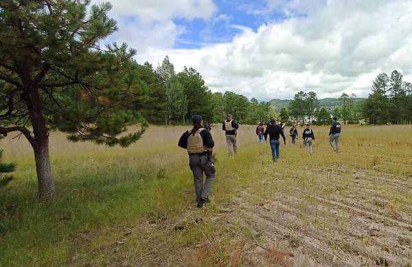 Localiza FGE restos óseos durante rastreo en Balleza