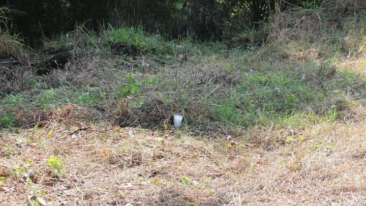 Encuentran cuerpo de hombre en el municipio de Yanga