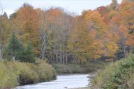 Is New Jersey's fall foliage season in trouble this year?