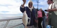 CT vets try to lure in the big one off the coast of Niantic
