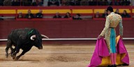 En imágenes: así fueron las graves cornadas que sufrió un torero colombiano en medio de una faena en Francia