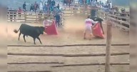 Muere torero aficionado tras ser embestido por un toro durante fiesta patronal en Apurímac