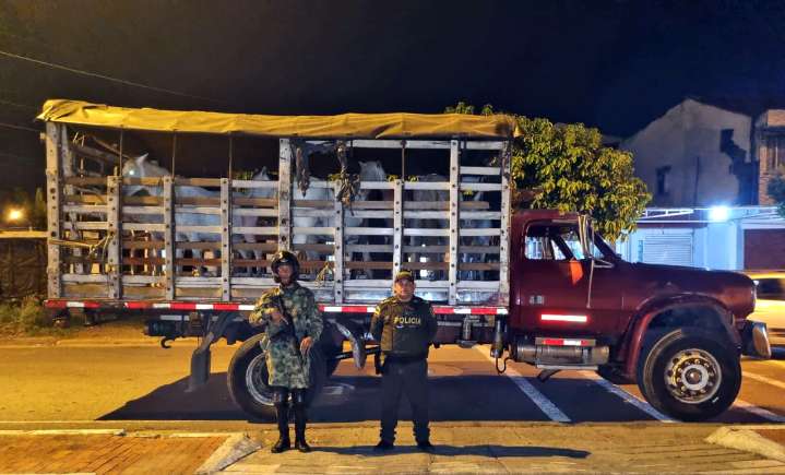 Ocho semovientes fueron incautados en Aguazul, Casanare