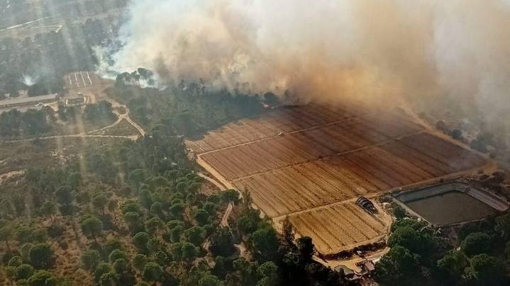 El Infoca combate por tierra y aire un nuevo incendio forestal en Almonte y otro en Bonares, el tercero en el municipio en dos días
