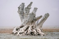 Cox announces effort to stave off saline failure in Great Salt Lake