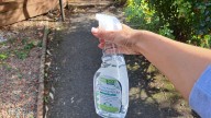 Gardeners urged to spray patios and paths with vinegar until November