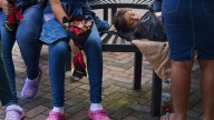 Chaotic showdown over Guatemalan children exposes fault lines in Trump’s deportation push