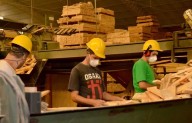 Crisis en el sector forestoindustrial: “Sin condiciones logísticas e impositivas es muy difícil competir”