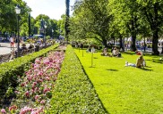 ¿Cómo puede la IA ayudar a mantener los espacios verdes en las ciudades?