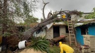 Tornados derriban árboles y afectan comercios