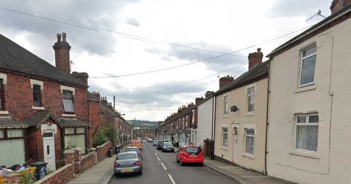 Woman bitten by 'Staffie' as she tried to protect sausage dog