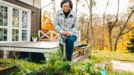 The Leafy Vegetable You Should Plant In The Fall To Prep Your Spring Garden