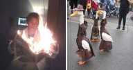 100 Disturbing Pictures So Wrong They Have To Be Cursed