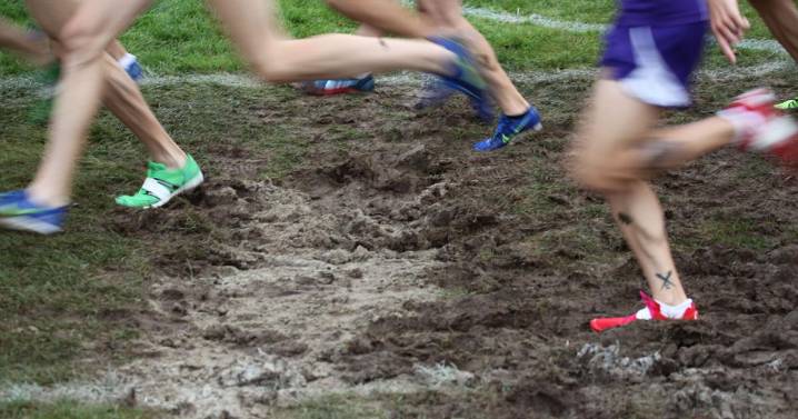 20 area teams in latest state XC rankings