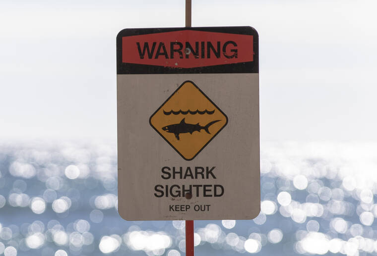 Waikiki shark sighting prompts warning signs at Kaiser Bowls