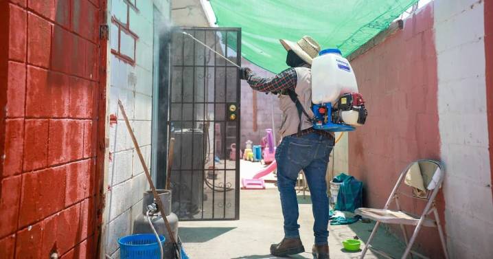 Ensenada reporte seis muertes por Rickettsia