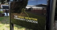 Wigan Warriors rugby club creates community garden as 'safe haven' to help combat suicide