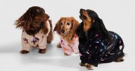 Pet owners snap up £29 'soft and warm' dog Oodie to stop pooches stealing theirs