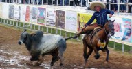 Asociación de Coleo deltana invita a elección de nueva directiva