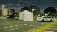 Pedestrian killed by hit-and-run driver in South LA