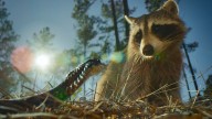 Netflix drops first trailer for Blumhouse's docuseries 'Nightmares of Nature' — and it's my most anticipated Halloween watch