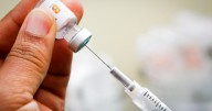 In an Unorthodox Move, CDC Vaccine Advisers Table a Vote on Hepatitis B