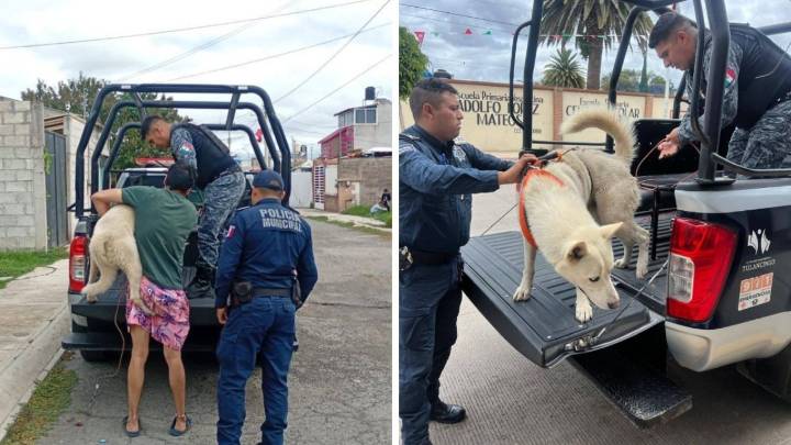 Captan a dueño que golpeaba a un perrito a plena luz del día en calles de Tulancingo
