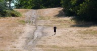 1,147 died from climate-driven heatwaves during UK's warmest summer on record
