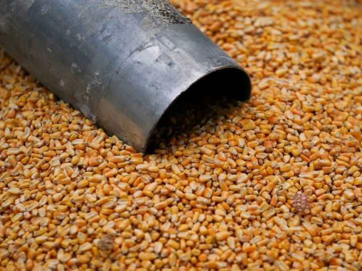 Estados Unidos alcanza un récord histórico de exportaciones de maíz y ya proyecta otro máximo en 2025/26