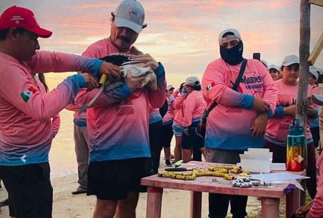 La Conanp informa sobre el anillamiento del Flamenco del Caribe en las Reservas Ría Lagartos y Ría Celestún