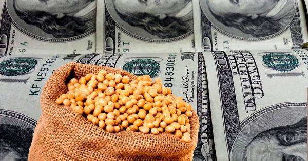 Señales mixtas: los dólares que esperan Milei y Caputo de un sector clave