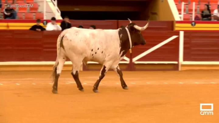 Segunda edición de popular "Cagada del Manso" en en Illescas