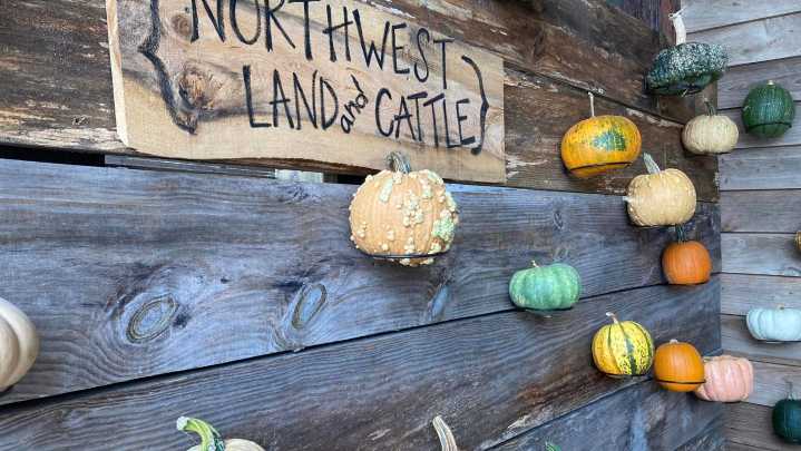 From the editor: Fall is the perfect time to visit…