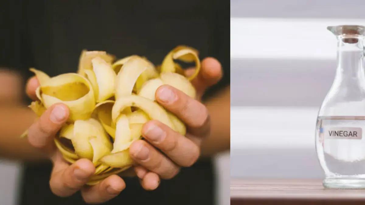 Para qué sirve licuar cáscara de papa y vinagre: paso a paso para preparar la mezcla