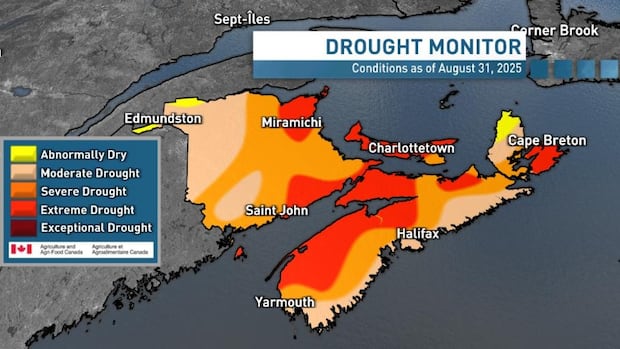 Much of Atlantic region officially suffering 'extreme drought,' Agriculture Canada confirms