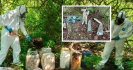 Desmantelan laboratorio clandestino y 13 zonas con químicos para droga en Culiacán, Elota y Cosalá