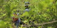 Descertificación de Colombia en la lucha antidrogas, una problemática que puede afectar al país en el corto plazo