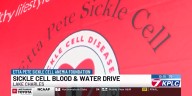 Etta Pete Foundation hosts blood and water drive for sickle cell patients