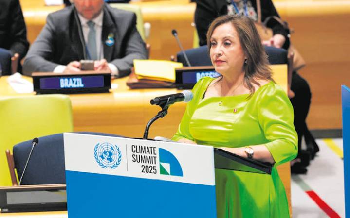 Diplomáticos peruanos rechazan falta de tino de la presidenta Boluarte