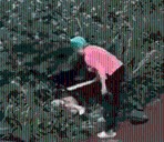 VIDEO: Anciana agarra a tablazos a pareja por hacer el delicioso en la vía pública