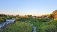 Ribera del río Cuautla será iluminada y rehabilitada para recorridos familiares