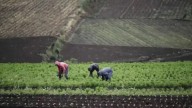 Indignación por el fin de las retenciones cero: “Esta medida fue pensando en el productor ni en la producción”