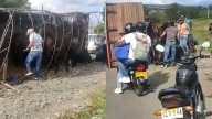 Camión que transportaba caballos del ‘Tino’ Asprilla se volcó en Tuluá y el conductor huyó del lugar