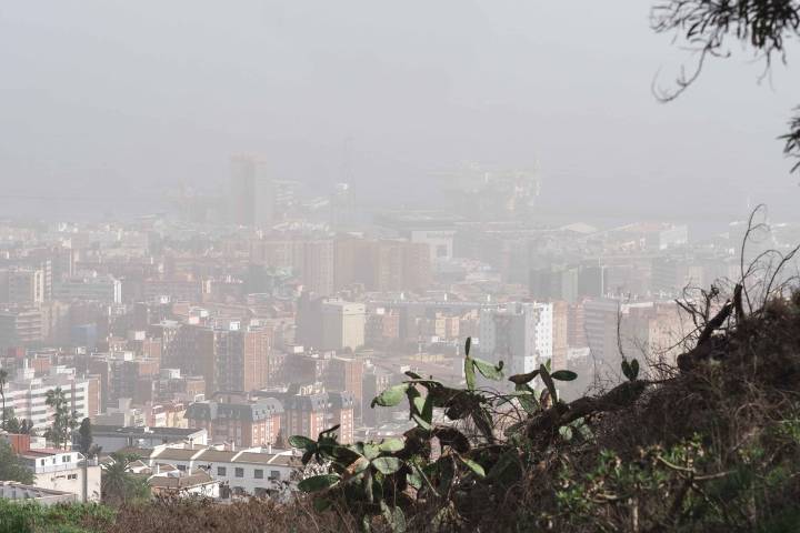Calima, calor y mucho bochorno: la previsión del tiempo en Canarias para mañana