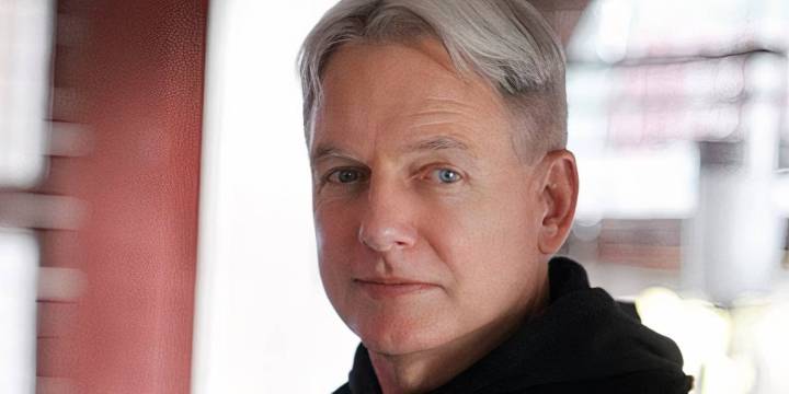 You Missed Leroy Jethro Gibbs' Crucial Role In NCIS: Tony & Ziva's Story