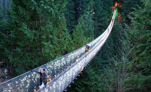 Está suspendido a 70 metros: dónde queda el puente colgante más "peligroso" del mundo