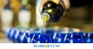 Los expertos del mundo en aceite de oliva se reúnen en San Juan