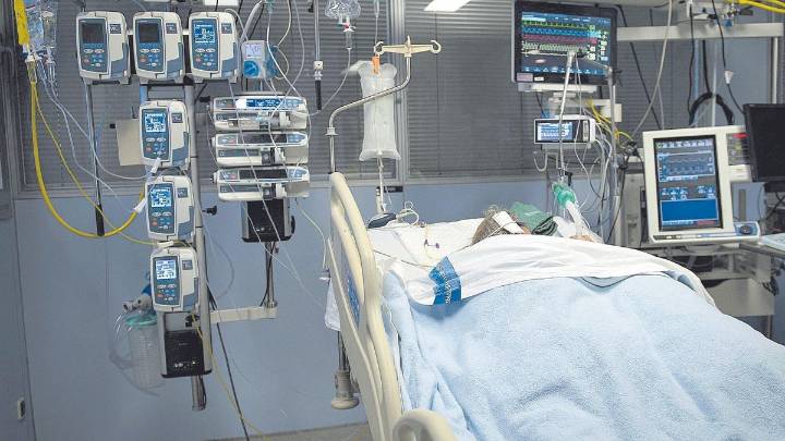 España lidera las infecciones en UE por cándida auris, un hongo resistente que se contagia en hospitales