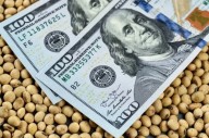 El campo liquidó US$32.426 millones y creció la exportación